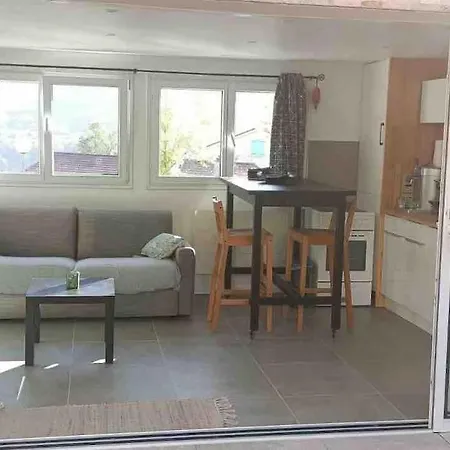 Appartement Cosy Avec Terrasse Et Acces Piscine Aurec-Sur-Loire
