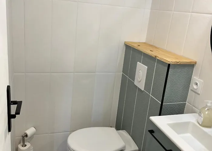 Cosy Avec Terrasse Et Acces Piscine Apartment Aurec-Sur-Loire